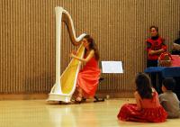 Harpist�